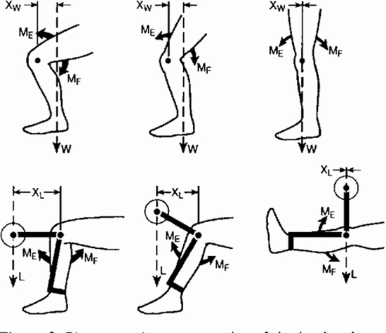 Comparison of kinematics of ACL-deficient and healthy knees {faces}